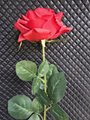 ROSE EN TISSUS - ROUGE OUVERTE 75CM